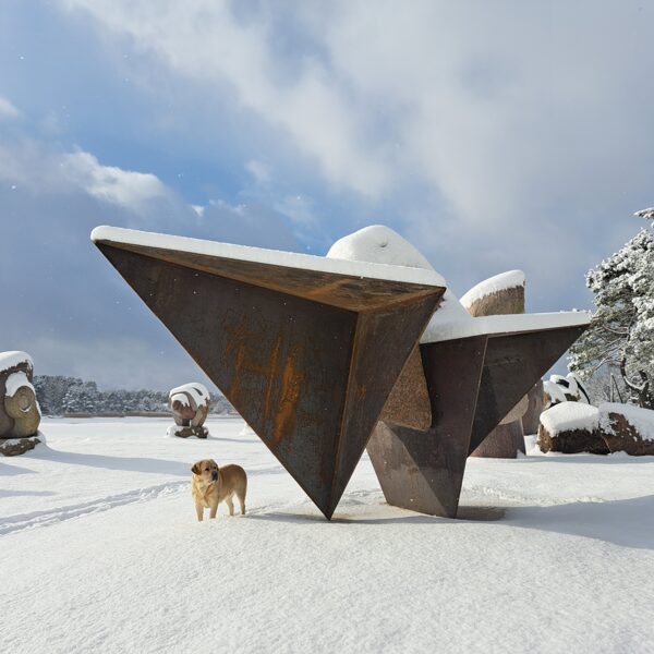 NIGHTBIRD. 2025. 230/650/300cm