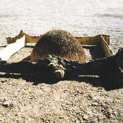 REFUGE. 1998. Oak tree. Danmark