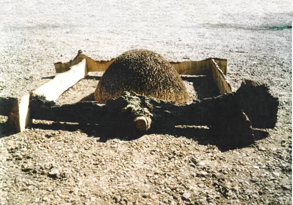 REFUGE. 1998. Oak tree. Danmark